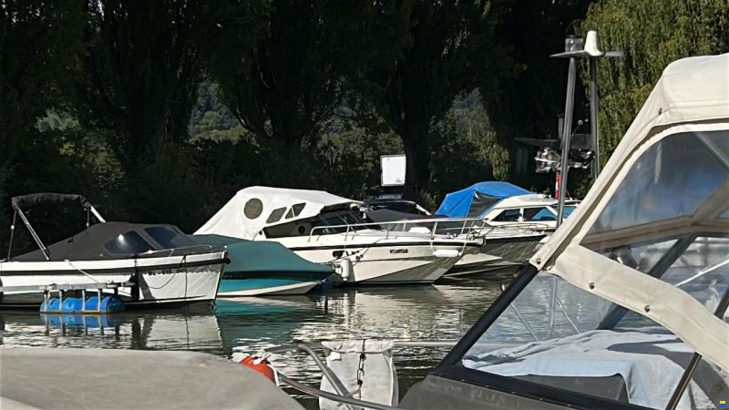 Rio Rio730 Rio
