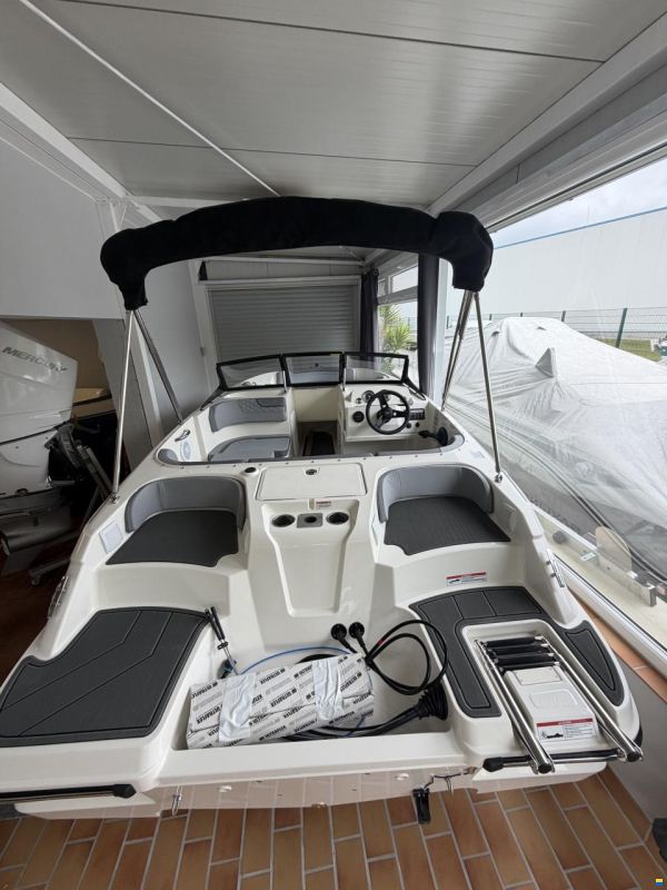 Bayliner M 17 Element