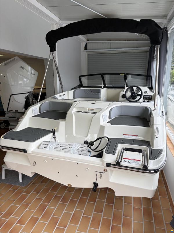 Bayliner M 17 Element