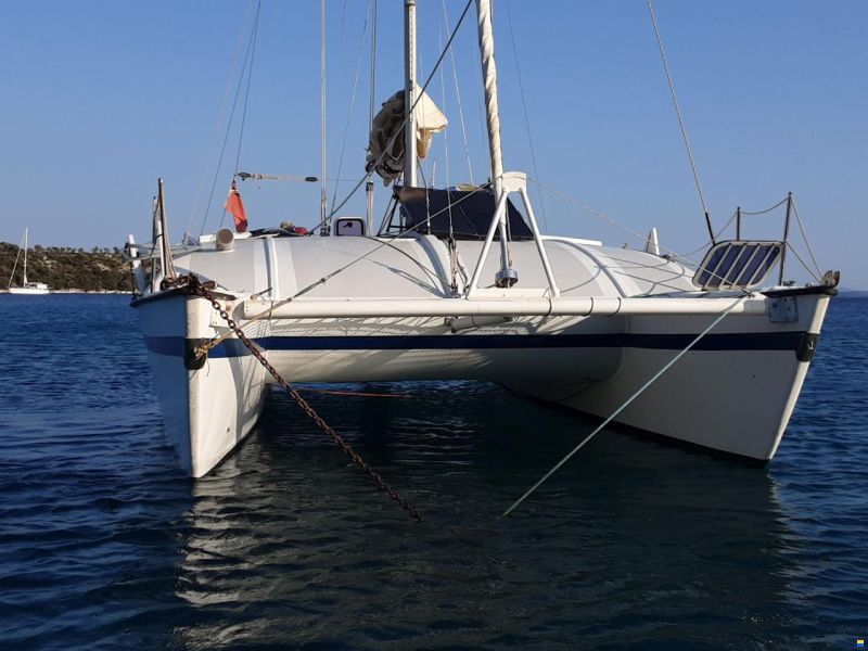 Havcat 27 (Lars Oudrup)