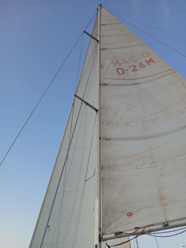 Havcat 27 (Lars Oudrup)
