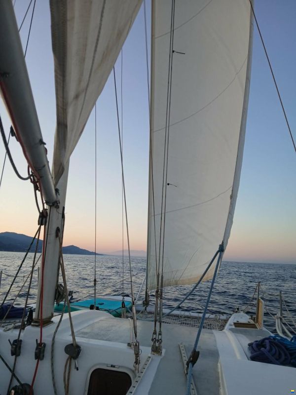 Havcat 27 (Lars Oudrup)