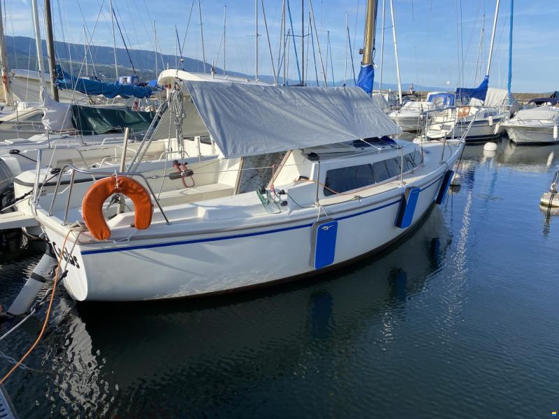 Jaguar 27