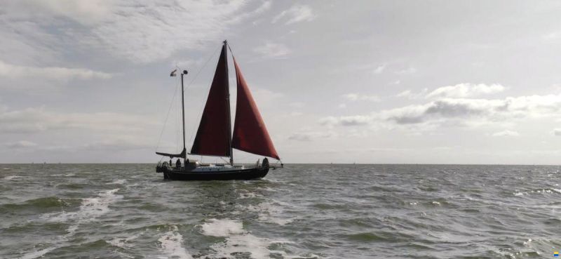 Colin Archer Polar 34