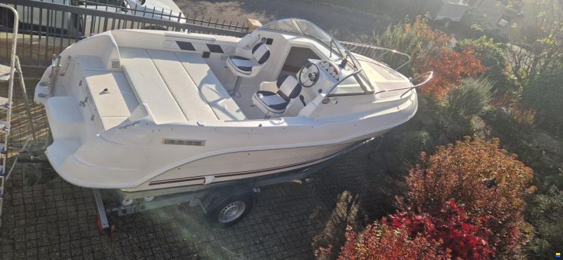 Quicksilver Flamingo 620