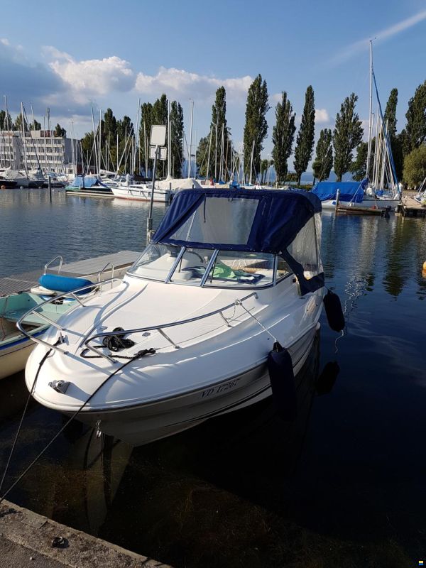 Quicksilver Flamingo 620