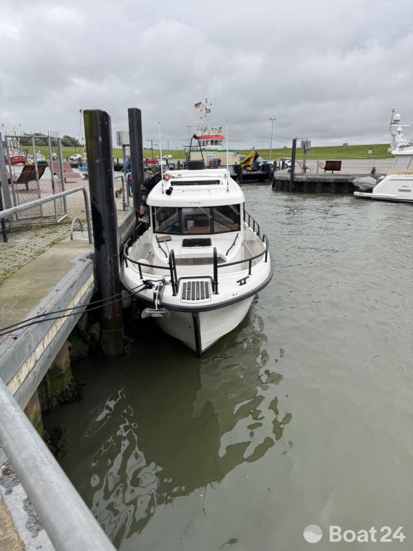 Sargo 31 Offshore