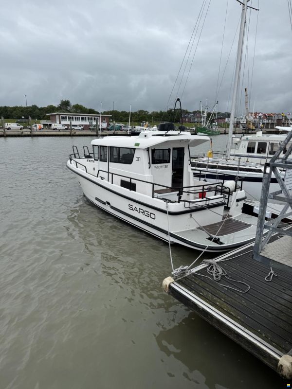 Sargo 31 Offshore