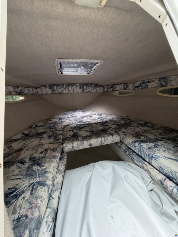 Sea Ray 230 OSE