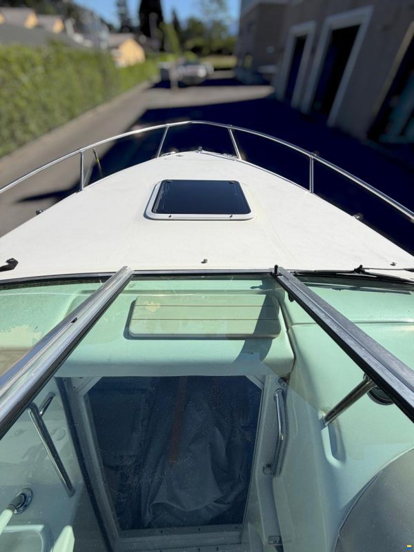 Sea Ray 230 OSE