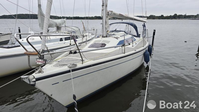 Dehler 31