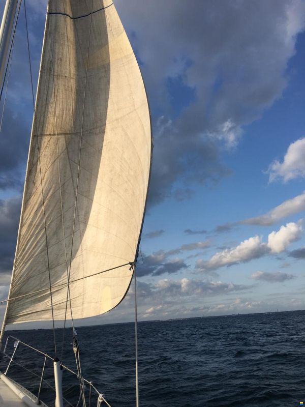 Sagitta 35