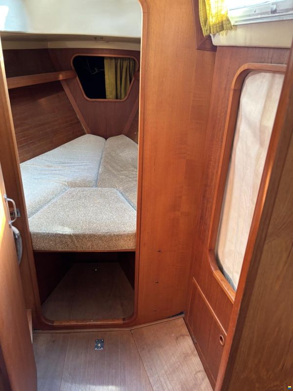 Sagitta 35
