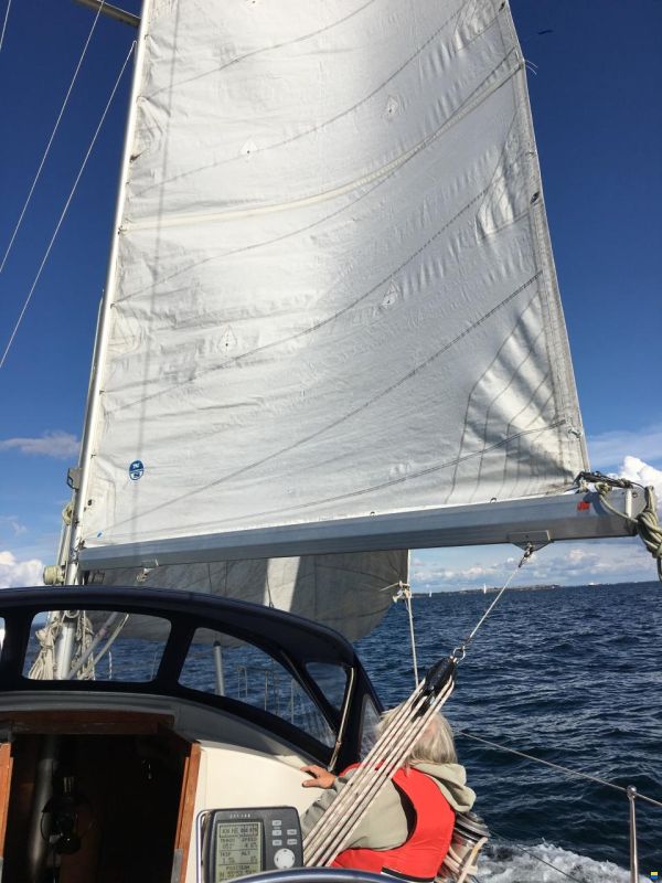 Sagitta 35