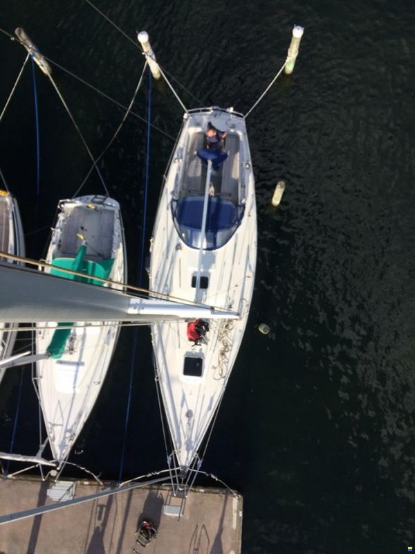 Sagitta 35