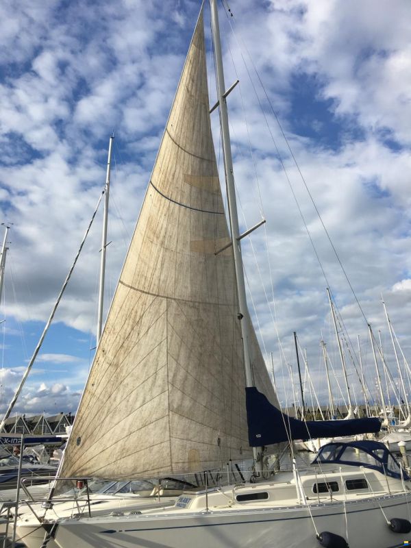 Sagitta 35