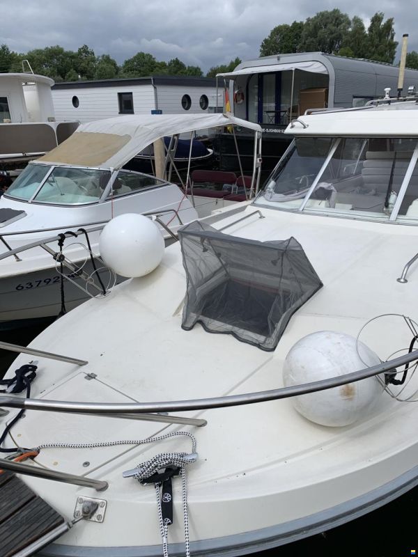 Marex Holiday