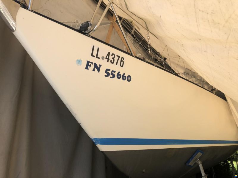 Bianca 28
