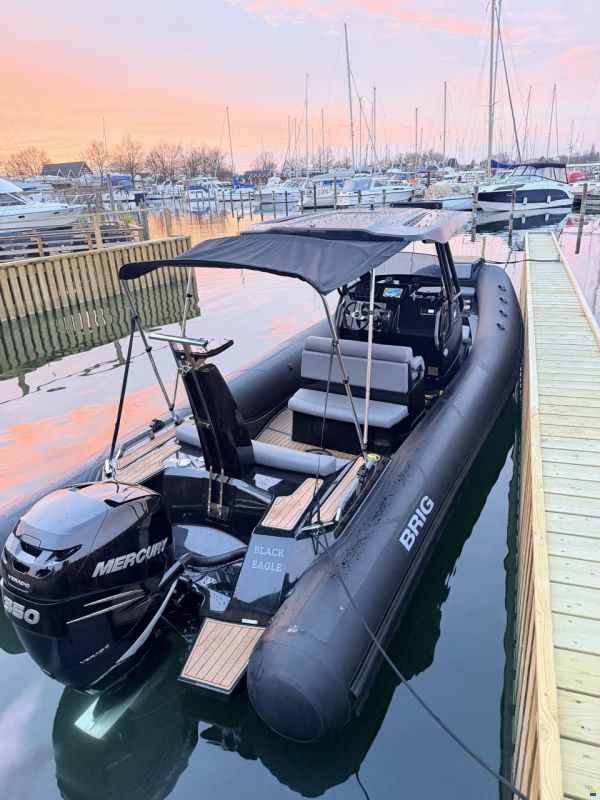 Brig Eagle 8