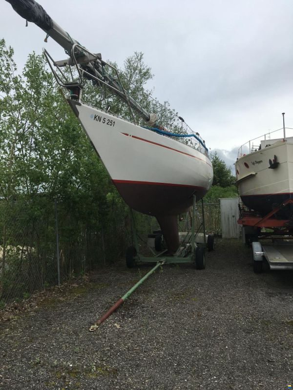 Helmsman Lady Helmsman