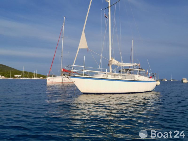 Danica Venus 31