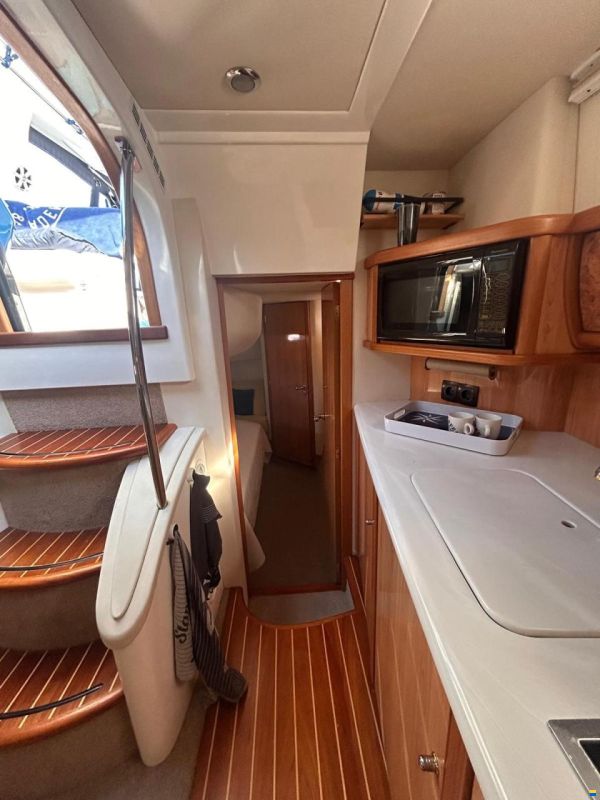 Sealine S 41