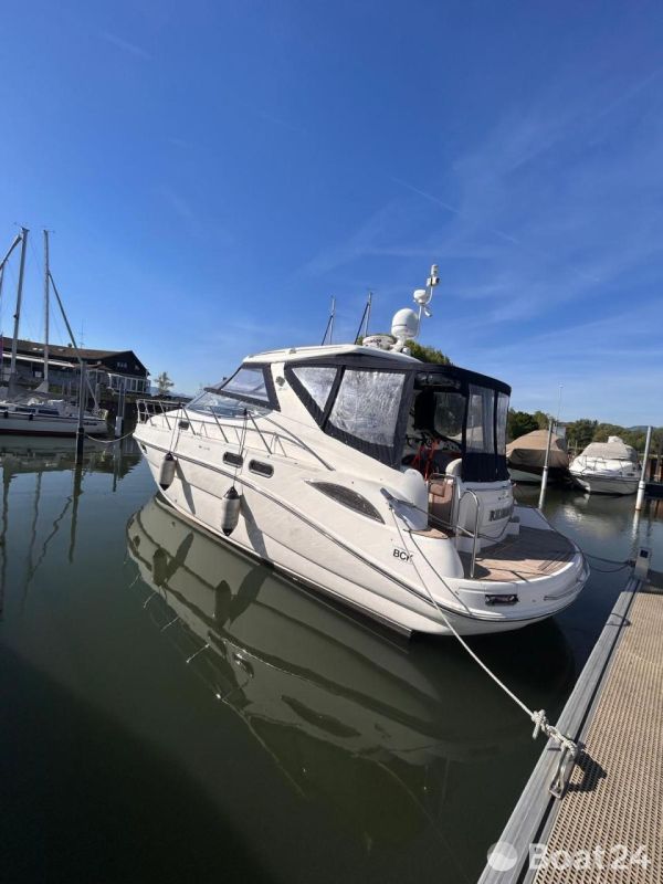 Sealine S 41