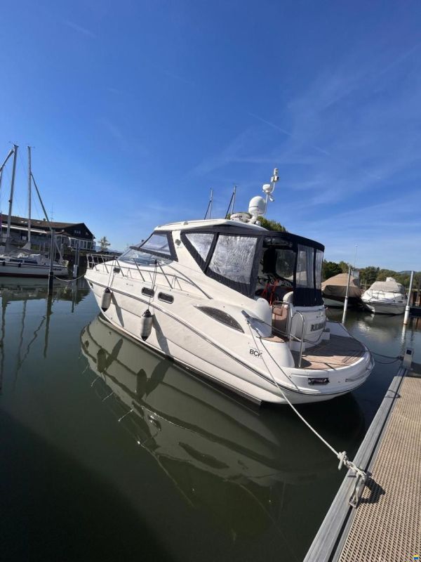 Sealine S 41