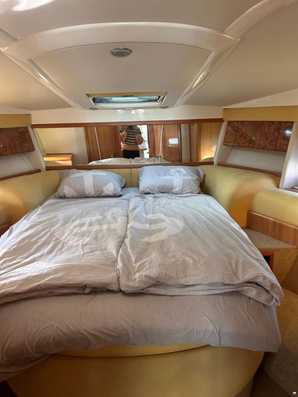 Sealine S 41