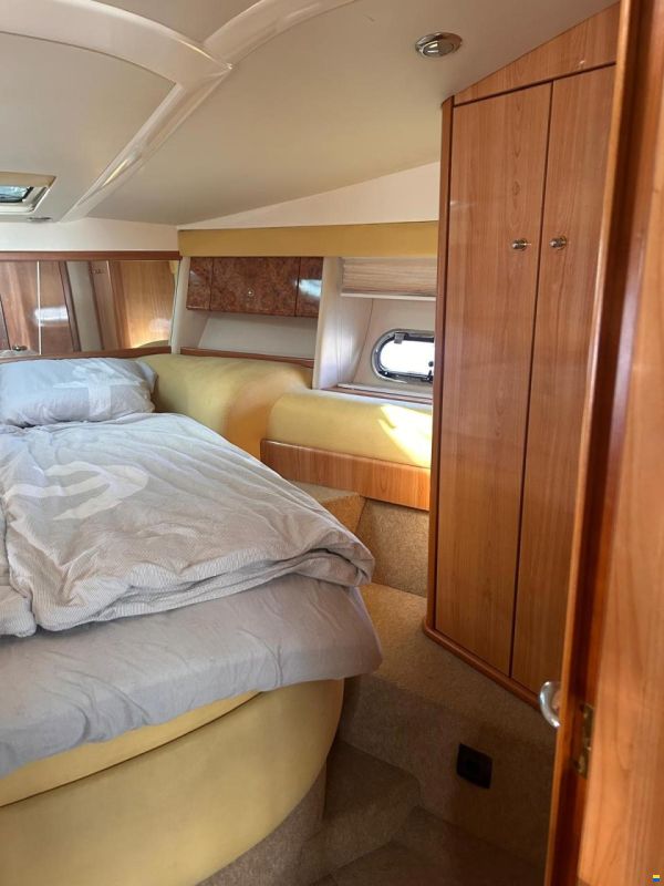 Sealine S 41