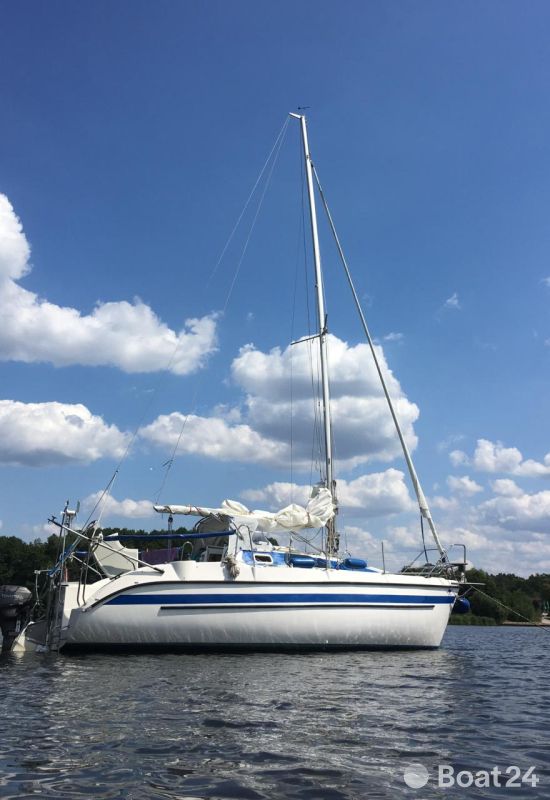 Segelyacht Wayer/Tes 678