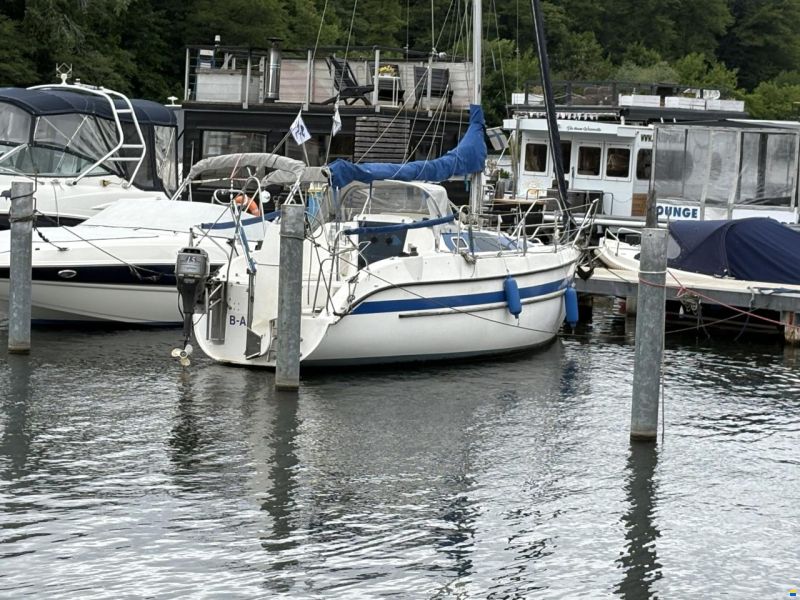 Segelyacht Wayer/Tes 678