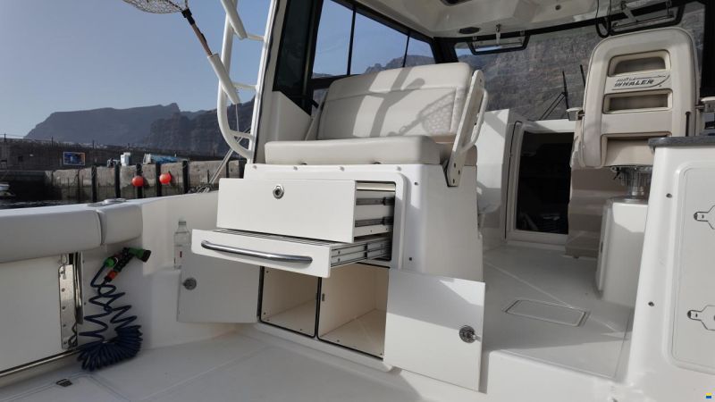 Boston Whaler Conquest 325