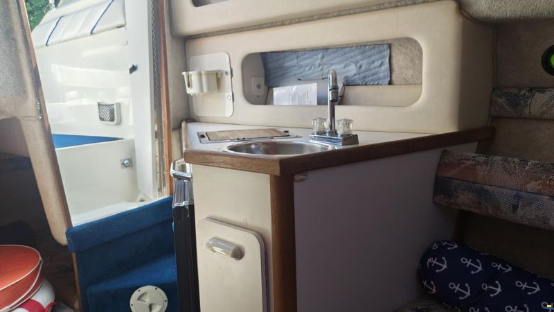 Sea Ray 230 DA LTD