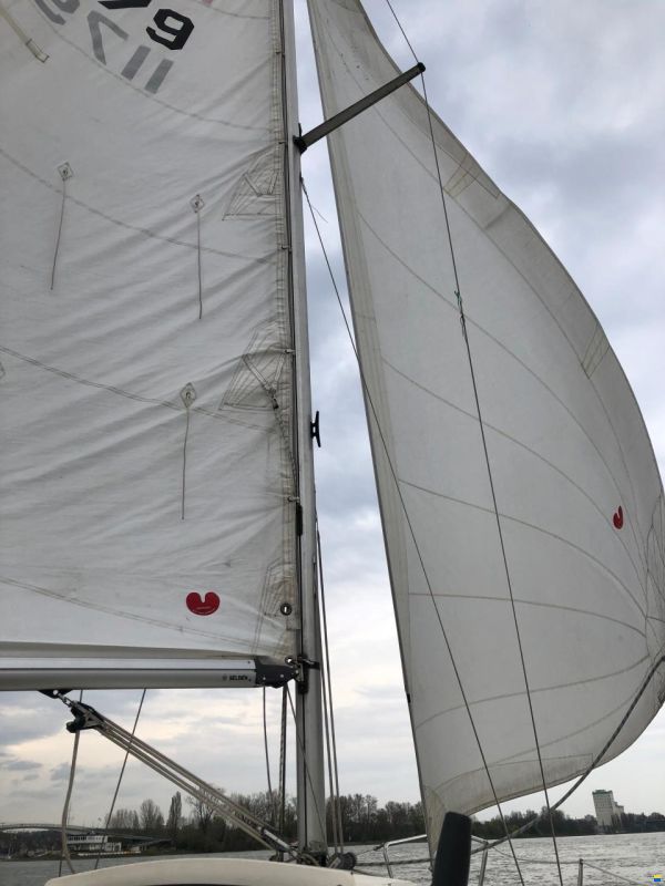 Meyer Friendship 22 S
