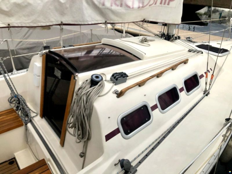 Meyer Friendship 22 S