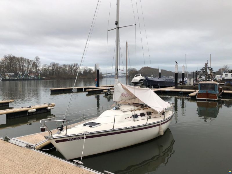 Meyer Friendship 22 S
