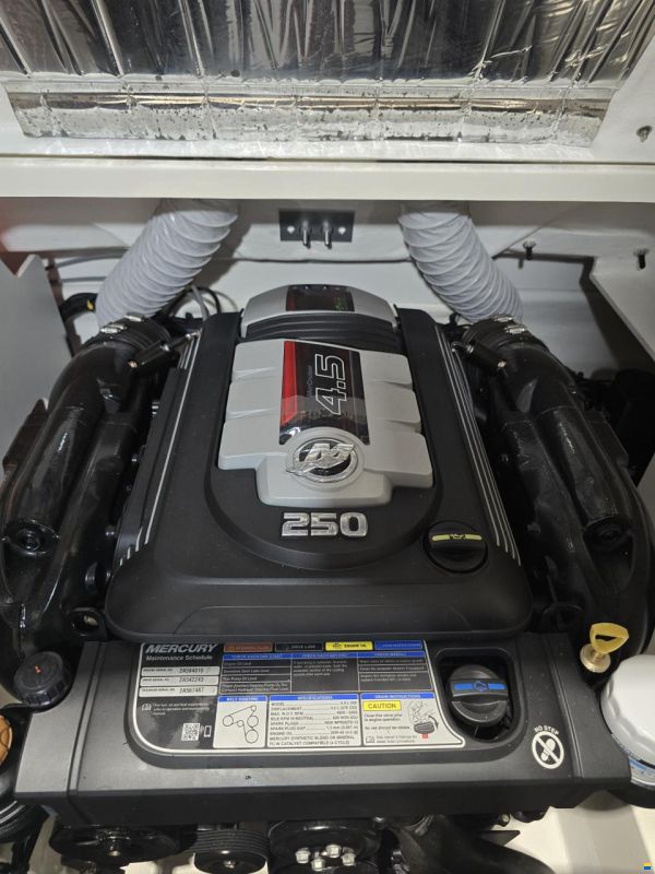 Sea Ray 210 SPX