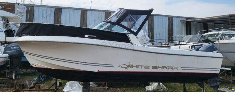 Kelt WHITE SHARK 236