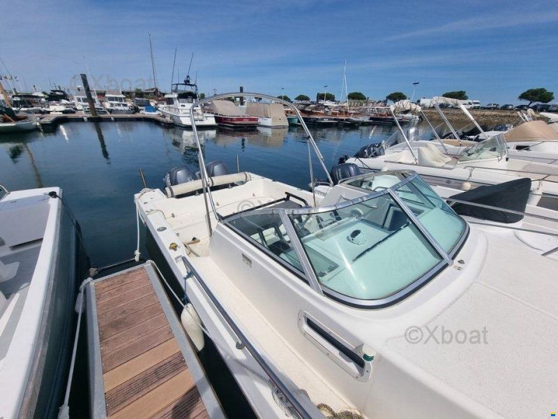Kelt WHITE SHARK 236