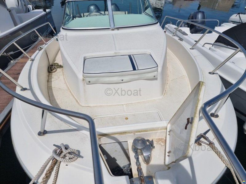Kelt WHITE SHARK 236
