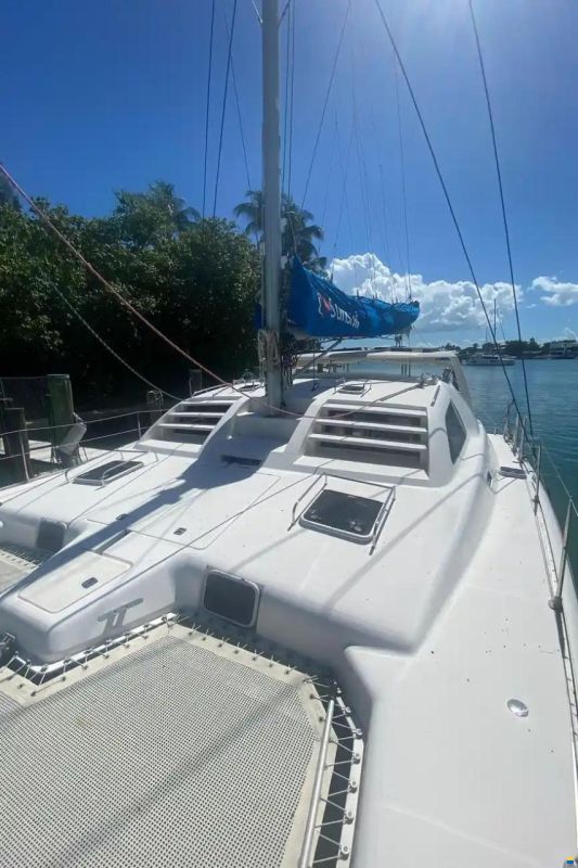 Leopard 38