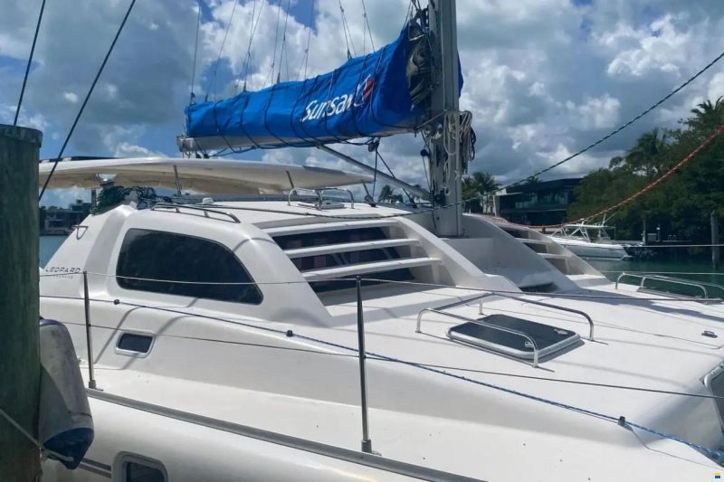 Leopard 38
