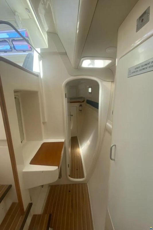 Leopard 38