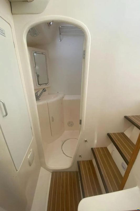 Leopard 38