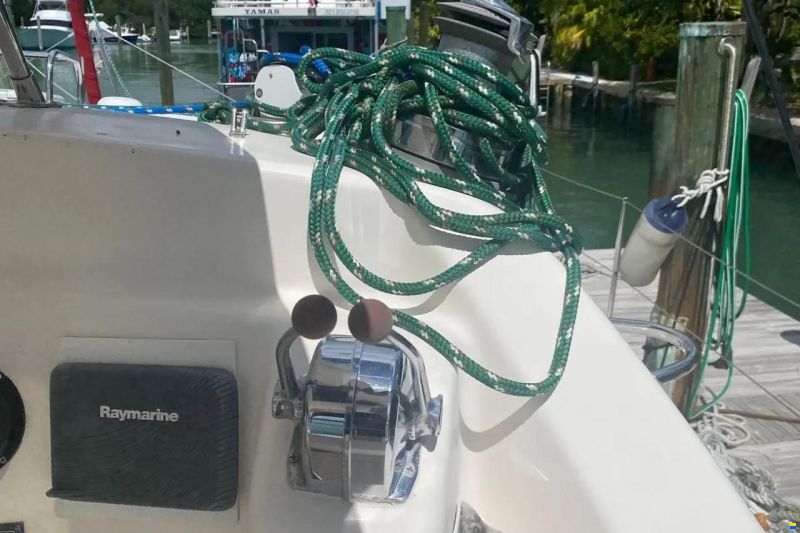 Leopard 38