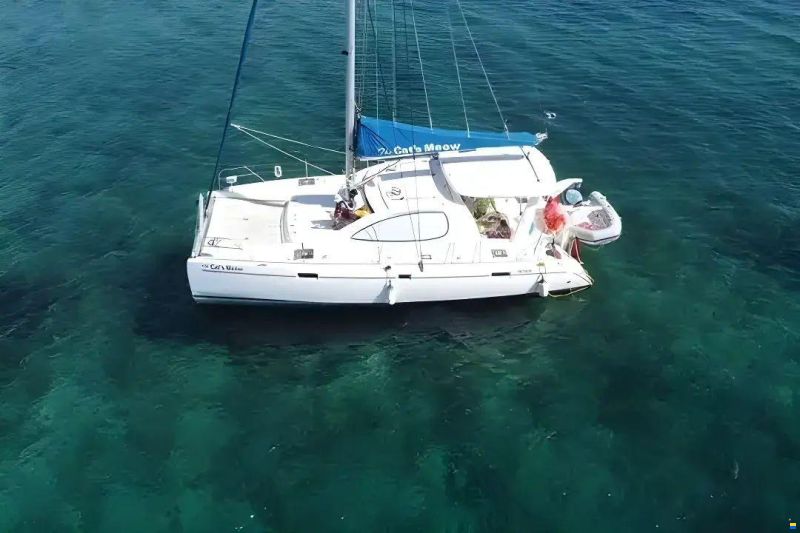 Leopard 40