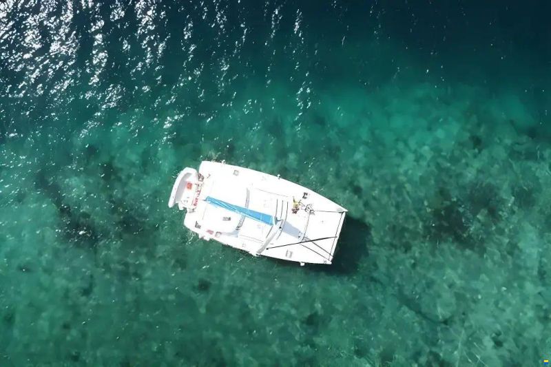 Leopard 40