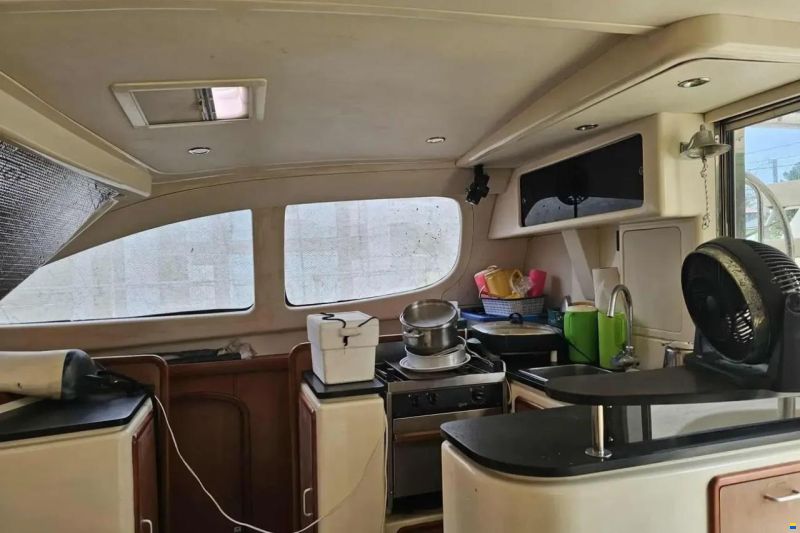 Leopard 40