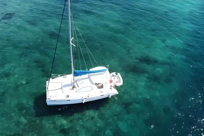Leopard 40